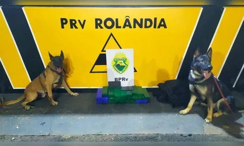 Passageiro de ônibus é preso com 21kg de maconha em Rolândia