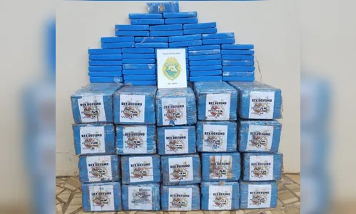 Polícia apreende quase meia tonelada de maconha na região