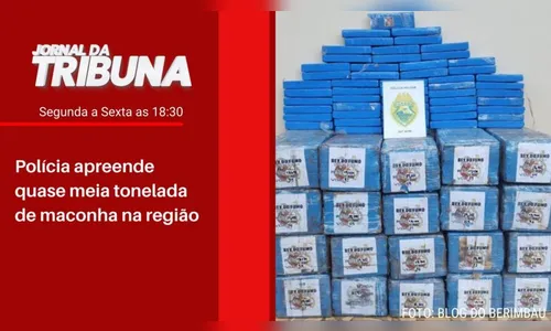 Polícia apreende quase meia tonelada de maconha na região