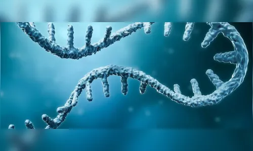 Portugueses publicam genoma do vírus da varíola dos macacos