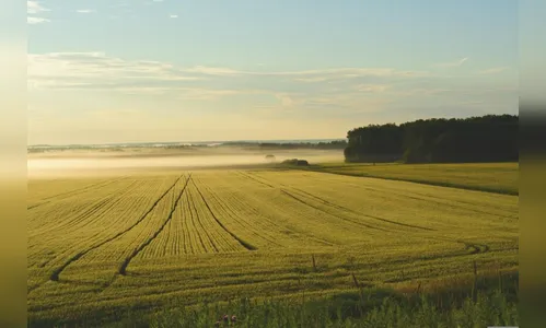 Preço de terras agrícolas valoriza 21% na região