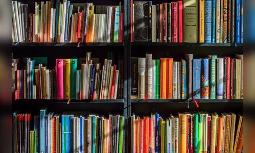 Projeto cultural incentiva leitura em cidades do Paraná