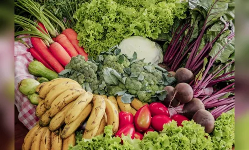 Repasses do “Terra Forte” ultrapassam nove toneladas