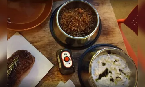 Restaurante serve comida em pote de cachorro e gera polêmica