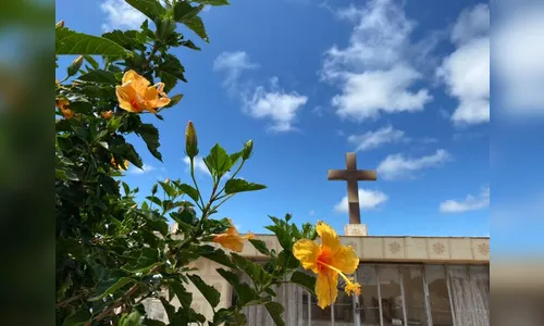 Sepultamentos desta quinta-feira (5) de Apucarana e região