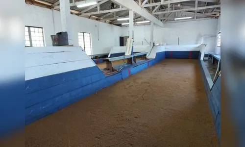 Torneio Bocha Paraná ocorre neste sábado em Apucarana