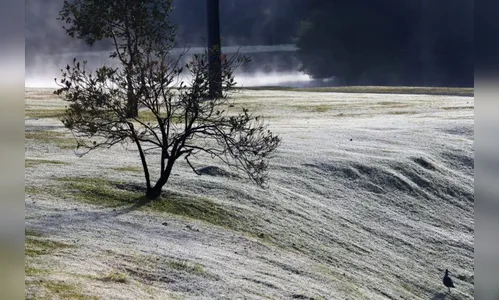 Veja quais regiões podem ser afetadas pela 'geada negra'