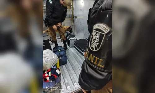 PM revista ônibus a procura de drogas em Apucarana