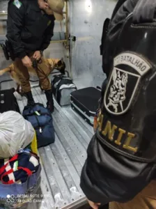 Vistoria contou com apoio da cadela Zara