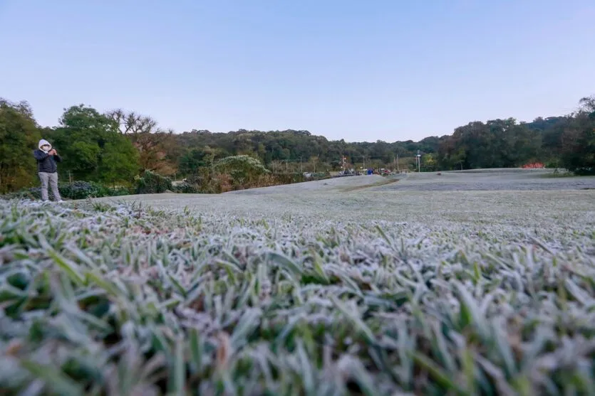 Em Curitiba há formação de geadas