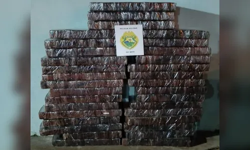 Quase 400 quilos de maconha são apreendidos pela PM de Manoel Ribas