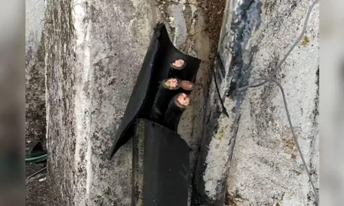 UBS de Apucarana furtada retoma atendimento nesta segunda (20)