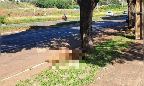 Motociclista fica ferido após atropelar capivara