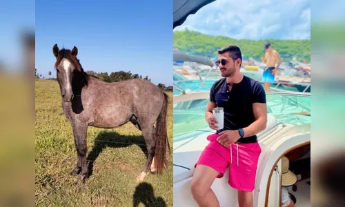 Bêbado, jovem compra cavalo em leilão e só descobre no outro dia
