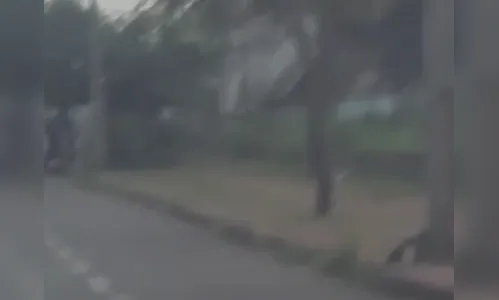 Vídeo: casal é flagrado em momento íntimo em rua de Maringá