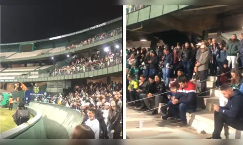 Jovem morre após confronto entre torcidas do Palmeiras e Coritiba