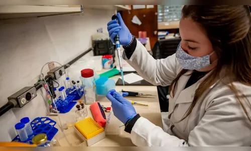 Vacina da UFPR contra a Covid-19 deve ser testada em humanos