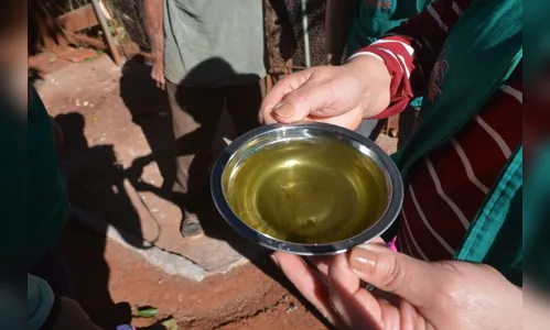 Após surto de casos, Jandaia do Sul enfrenta epidemia de dengue