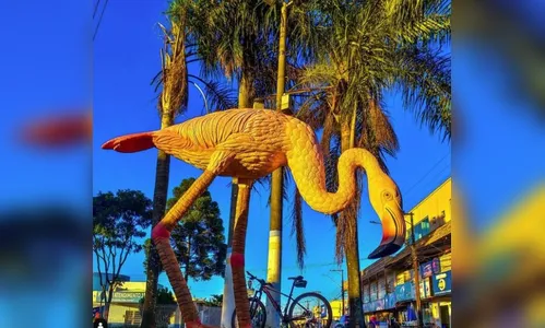 Saiba o que abre e fecha em Arapongas no feriado de Corpus Christi