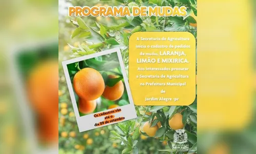 Jardim Alegre realiza cadastro para pedido de mudas de Citros