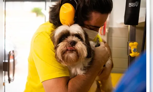 Funcionário que adotar animal ganha licença 'peternidade'