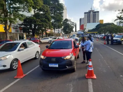 Funcionários do NRE entregaram panfletos da campanha e também mudas de palmeiras aos motoristas