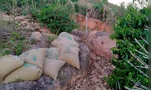 Cafeicultor é esfaqueado durante tentativa de furto de sacas de café