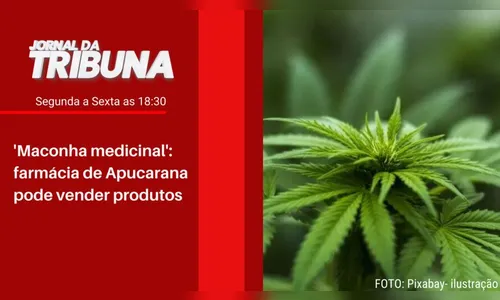 'Maconha medicinal': farmácia de Apucarana pode vender produtos