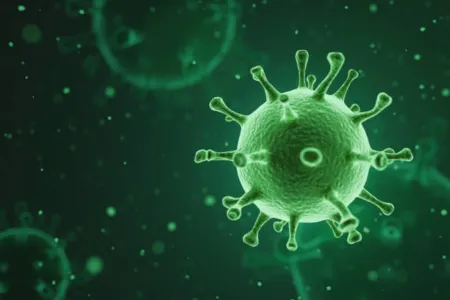 Neste domingo, o número de novas infecções notificadas foi de 25.549