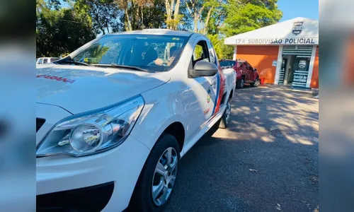 Maus-tratos: cão é achado morto junto de outros animais em Apucarana