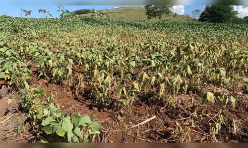 Lunardelli: agricultores atingidos pela estiagem terão auxílio