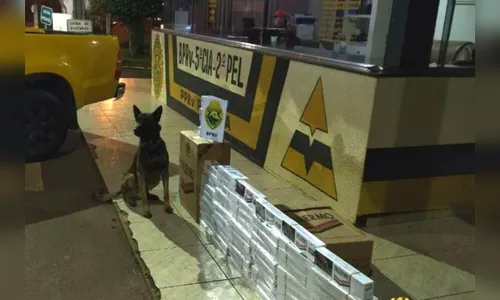 Balanço do feriado nas rodovias aponta aumento de prisões e abordagens