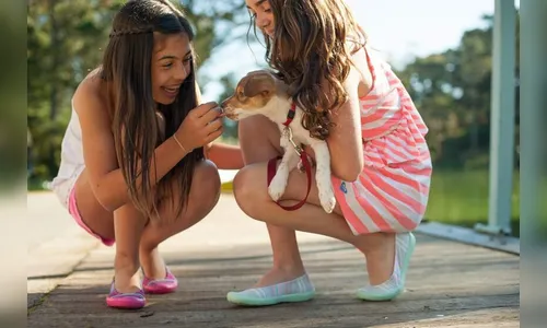 Como animais de estimação estimulam cérebro das crianças; confira