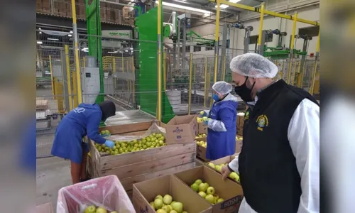 Paraná é o estado com maior número de produtores rurais orgânicos