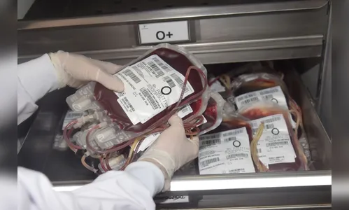 Paraná destina 124 bolsas de sangue a Pernambuco