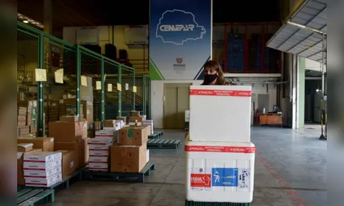 PR distribui mais 292 mil vacinas contra a covid-19 para os municípios