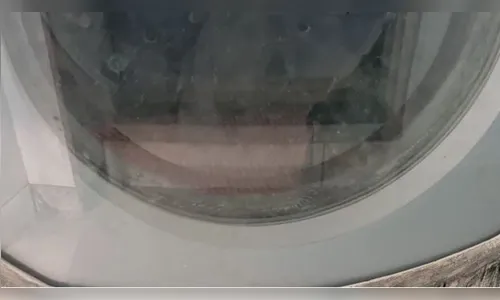 Clínica veterinária tinha cão em máquina de lavar e animais mortos