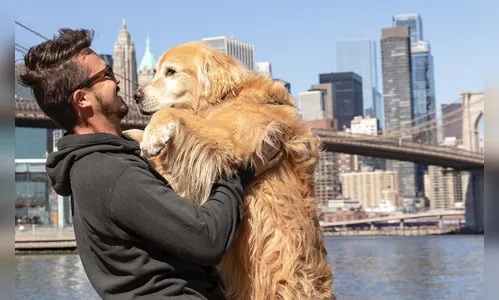 Velório de Jesse Koz terá presença de cães terapeutas