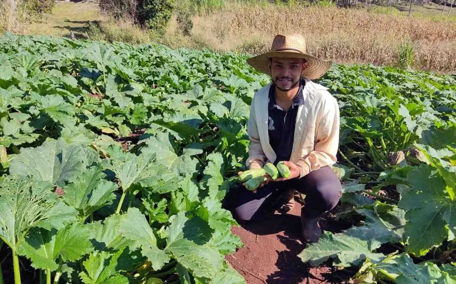 Herinton Rosa Pacheco produz tomate italiano, tomate cereja e abobrinha