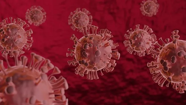 O País também registrou 276 novas mortes pelo coronavírus nas últimas 24 horas