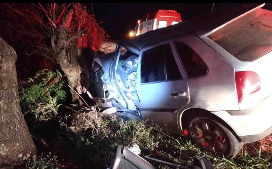 O motorista perdeu o controle do carro e bateu contra uma árvore a margem da rodovia