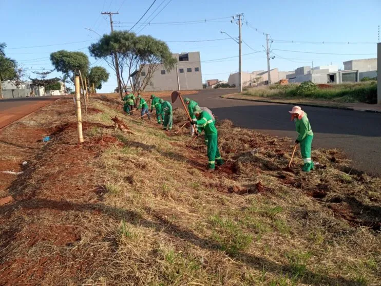 O trecho contou com o plantio de Ipês amarelos, brancos e rosas, sendo aproximadamente 40 árvores