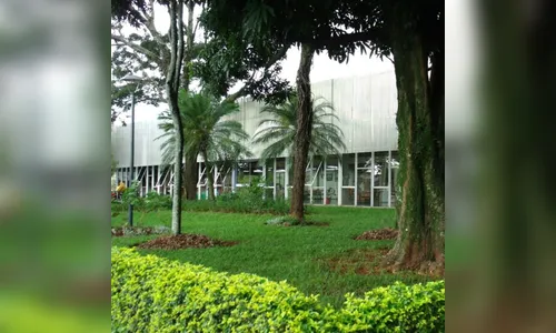 Biblioteca de Arapongas divulga relatório de atividades do 1º semestre