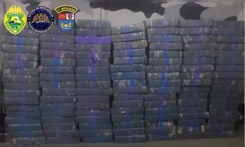 Mais de 1 tonelada de maconha é apreendida no Paraná