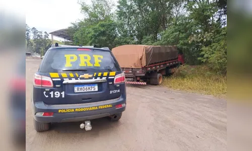 PRF apreende 625 mil maços de cigarros na BR-376 e BR-369