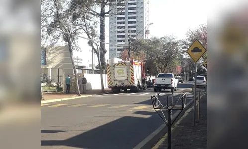 Pedestre acredita ter visto onça e aciona os bombeiros em Apucarana