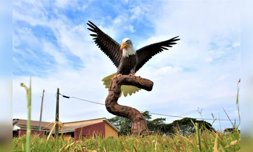 Arapongas finaliza 16ª escultura de pássaro no Conjunto das Águias