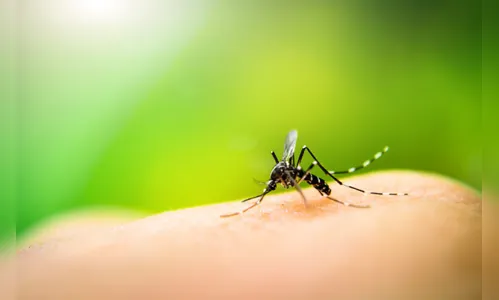 Região chega a nove municípios com epidemia de dengue