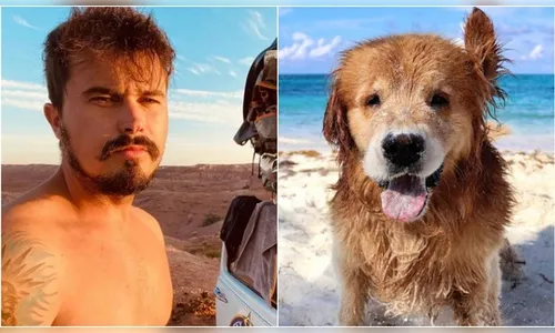 Após dois meses, cinzas de cão Shurastey chegam ao Brasil