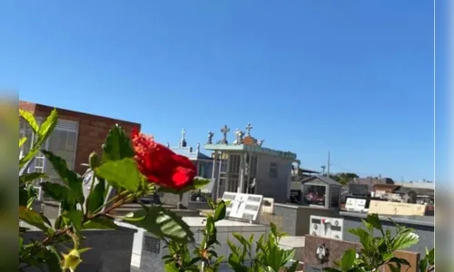 Veja a lista com os falecimentos deste domingo em Apucarana e região